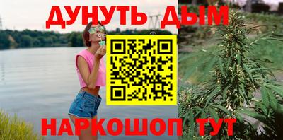 гашик Кулебаки