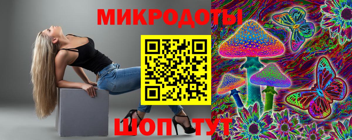 Заволжье  Псилоцибиновые грибы Psilocybe  Галлюциногенные грибы прущие грибы  Вход с VPN 