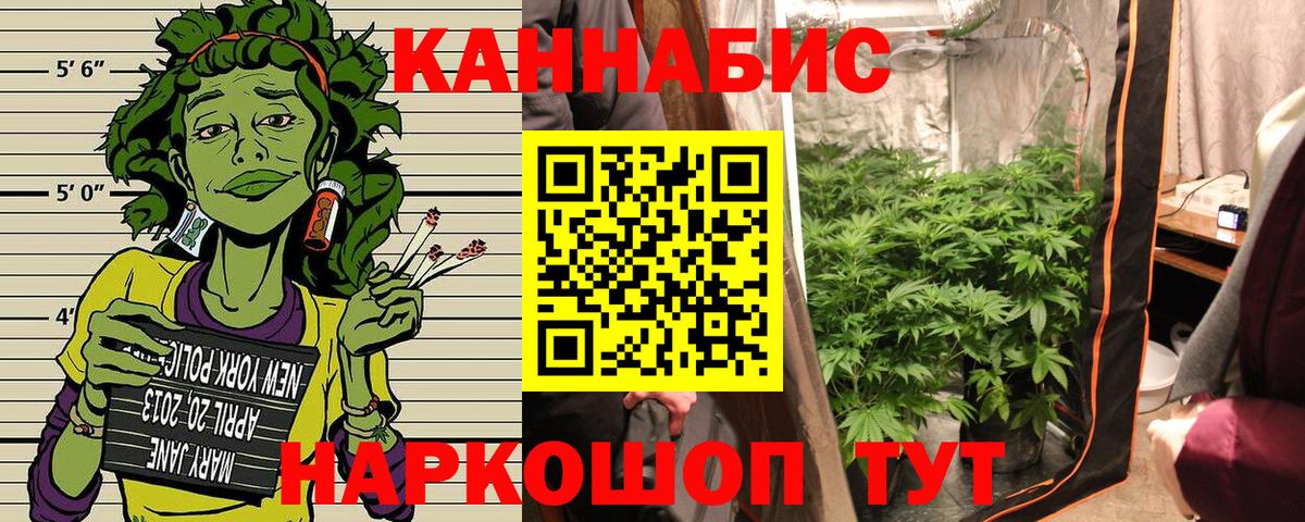 Бошки марихуана тримм  МАРИХУАНА Bruce Banner  Заволжье  Канабис ГИДРОПОН  Бошки Шишки марихуана  Вход с VPN 